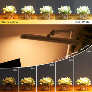 LED Architect Desk Lamp with Clamp & Swing Arm