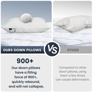 White Goose Down Pillow – 900 Fill Power, 700TC Cotton Shell