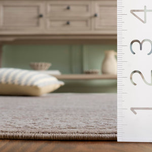 9x12 Transitional Area Rug – Beige & Cream | Reflection Collection