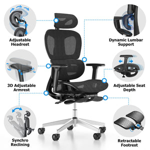 Ergonomic Mesh Office Chair with Adjustable Lumbar Support
