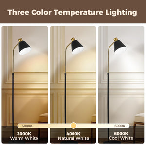 Dimmable LED Floor Lamp with Adjustable Height