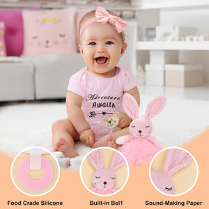 27-Piece Baby Girl Newborn Gift Basket Set