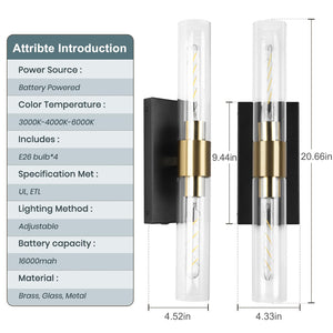 Rechargeable Battery Wall Sconce Set of 2 with Remote Control