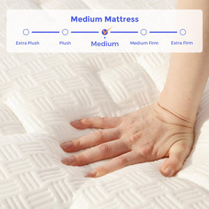 Queen Hybrid Mattress 10 Inch – Pillow Top, Pocket Spring & Memory Foam
