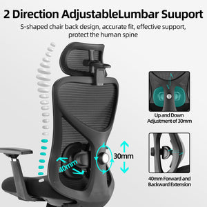 Ergonomic Mesh Office Chair with 3D Adjustable Headrest & Lumbar Support