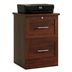 2-Drawer Vertical File Cabinet with Lock – Engineered Wood