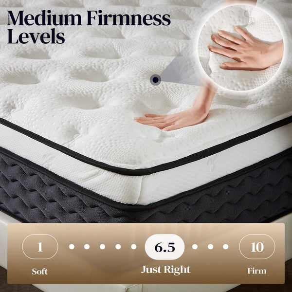 Queen Hybrid Mattress – Medium Firm Pocket Coil & Memory Foam, 12 or 14 Inch