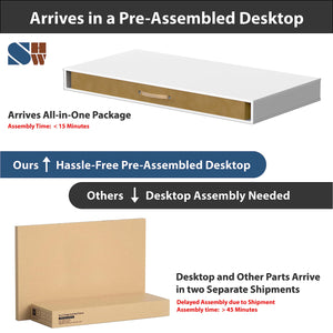 48-Inch Electric Height Adjustable Standing Desk with Keyboard Tray & 2 Drawers
