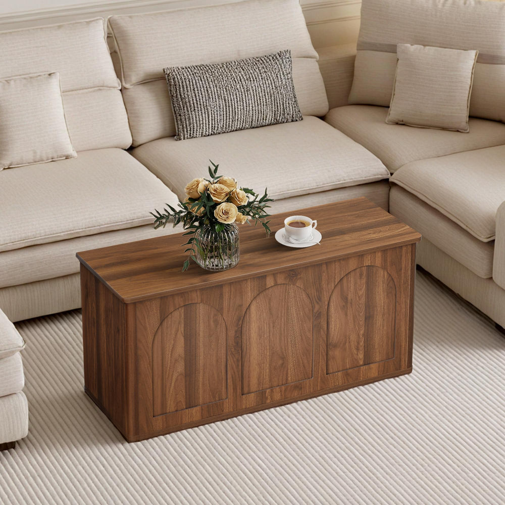 Lift-Top Storage Bench with Hidden Compartment