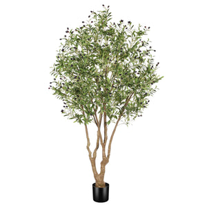Artificial Olive Tree with Realistic Fruits & Sturdy Base