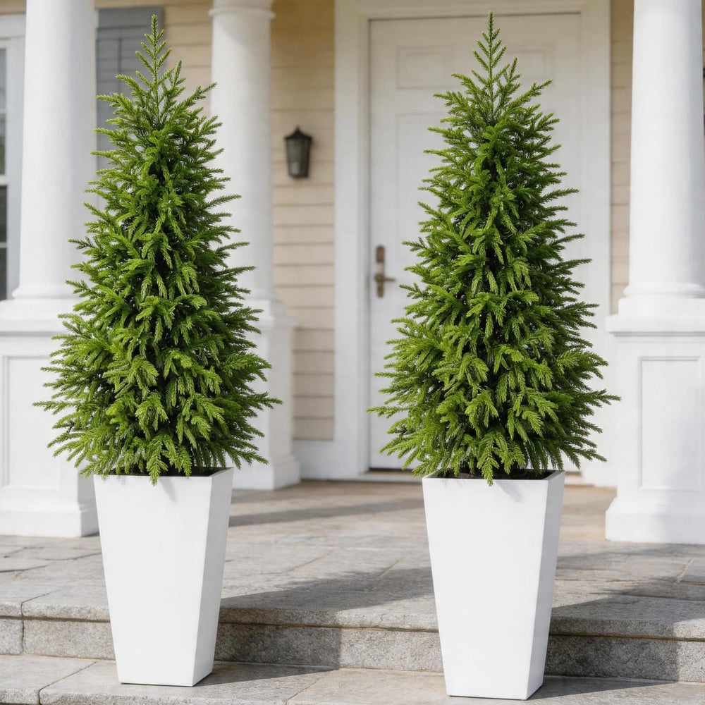 Artificial Norfolk Pine Tree 2-Pack — Indoor & Outdoor Faux Potted Topiary