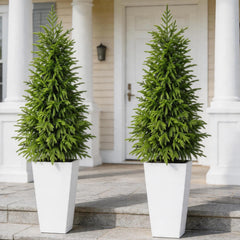 Artificial Norfolk Pine Tree 2-Pack — Indoor & Outdoor Faux Potted Topiary