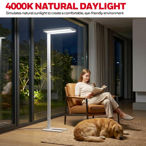 Full-Spectrum LED Floor Lamp with Dimmer