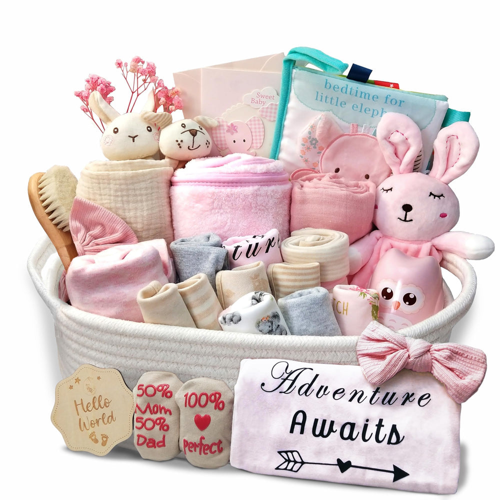 27-Piece Baby Girl Newborn Gift Basket Set
