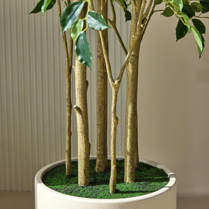 Artificial Ficus Tree – Tall Faux Indoor Floor Plant with White Planter