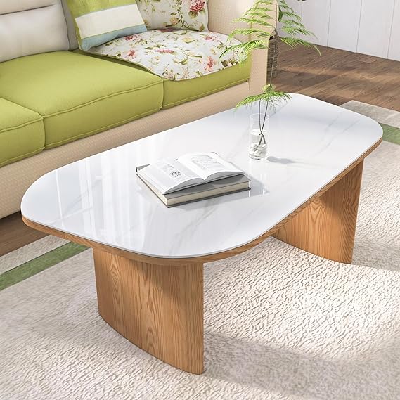 Modern Glass Coffee Table with Wooden Base