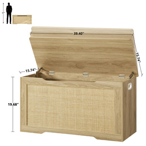 Storage Chest with Safety Hinges