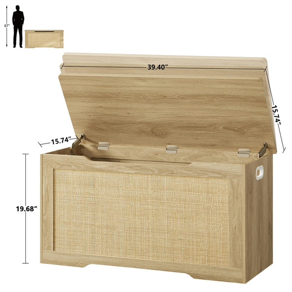 Storage Chest with Safety Hinges
