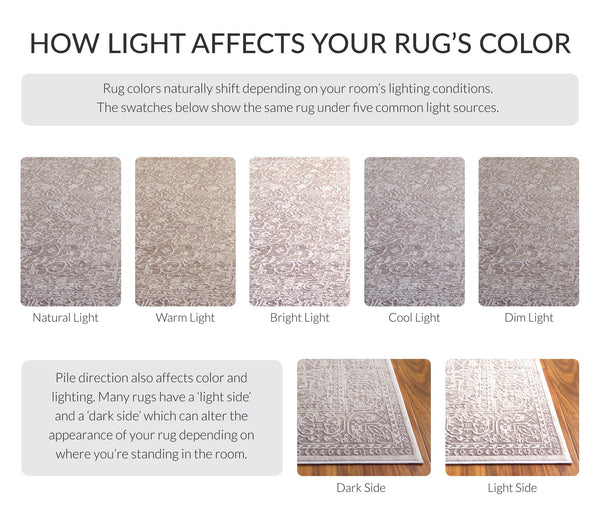 Runner Rug 2'3" x 16' | Non-Shedding, Stain Resistant