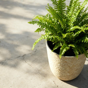 Tall Round Stone-Finish Planters Set of 2 – 14" Dia x 20.5" H, 9 Gallon