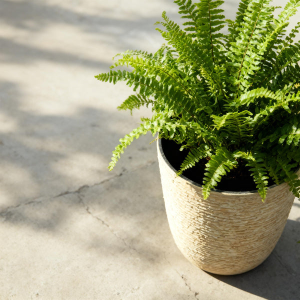 Tall Round Stone-Finish Planters Set of 2 – 14" Dia x 20.5" H, 9 Gallon