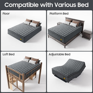 14-Inch Hybrid Mattress – Queen & King | Euro Top, Pocketed Coil, Cotton Fill