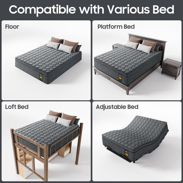 14-Inch Hybrid Mattress – Queen & King | Euro Top, Pocketed Coil, Cotton Fill