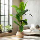 Artificial Banana Tree – Tall Faux Tropical Plant for Indoor & Outdoor Decor