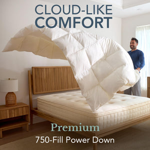 Organic Cotton Down Duvet Insert – 750 Fill Power, All Season