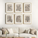 Framed Abstract Wall Art Set of 4 – Black & White Canvas Prints