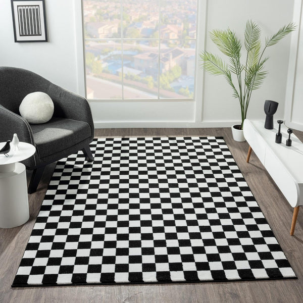 Modern Checkered Black and White Area Rug 5x7