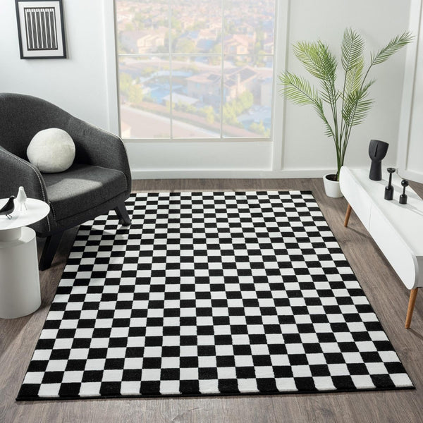 Modern Checkered Black and White Area Rug 5x7