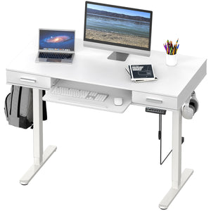 48-Inch Electric Height Adjustable Standing Desk with Keyboard Tray & 2 Drawers