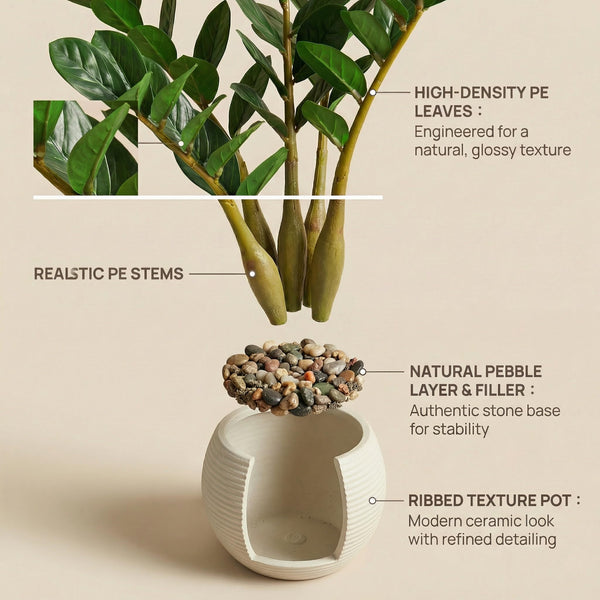 Artificial ZZ Plant in Pot – Set of 2