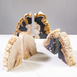 Petrified Wood Bookends Set