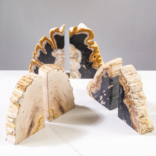 Petrified Wood Bookends Set