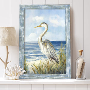Framed Coastal Seabird Wall Art Print