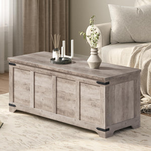 Storage Chest with Safety Hinges — Toy Box & Entryway Shoe Bench