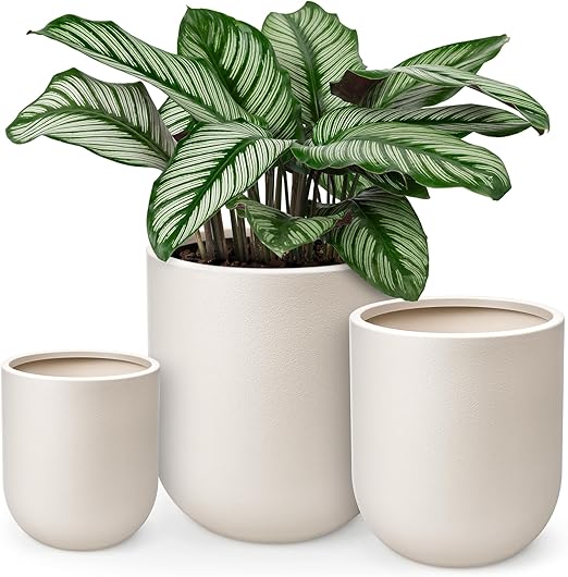 Large Plant Pots with Drainage – Indoor & Outdoor