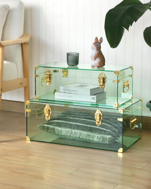 Acrylic Storage Chest Set of 2 with Handles & Hasps