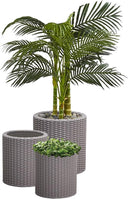 Rattan Resin Planter Set of 3 – Indoor & Outdoor Plant Pots