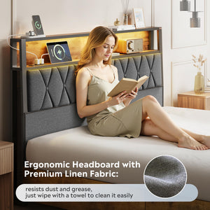 Platform Bed Frame with Storage Drawers & LED Lights