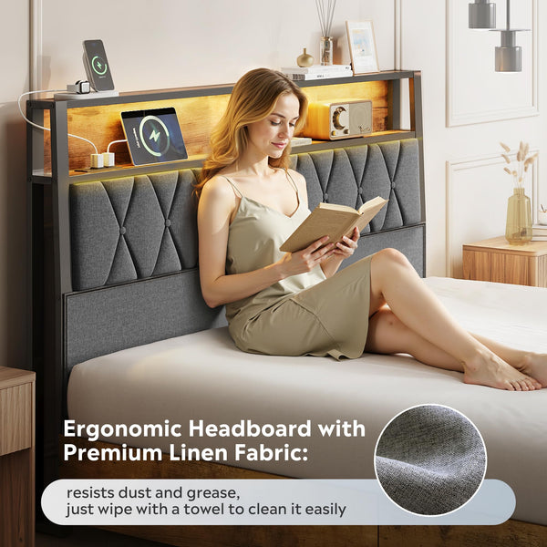Platform Bed Frame with Storage Drawers & LED Lights