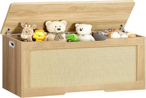 Storage Chest with Safety Hinges