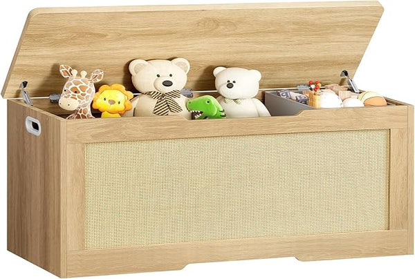 Storage Chest with Safety Hinges