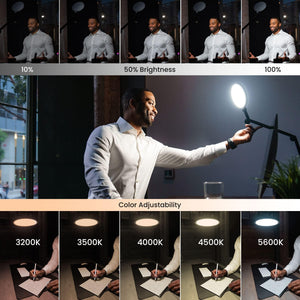 LED Desk Lamp with USB Charging & Swing Arm