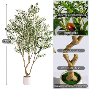Faux Olive Tree with Pot & Moss — Large Indoor Artificial Plant