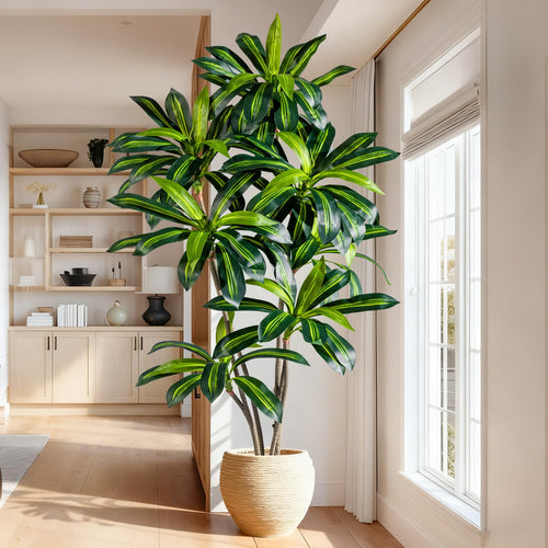 Artificial Dracaena Tree with White Planter Pot