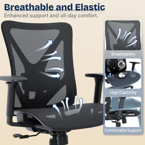 Ergonomic Mesh Office Chair with Adjustable Lumbar Support & 3D Armrests