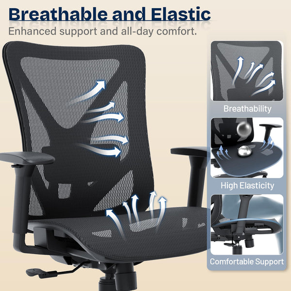 Ergonomic Mesh Office Chair with Adjustable Lumbar Support & 3D Armrests